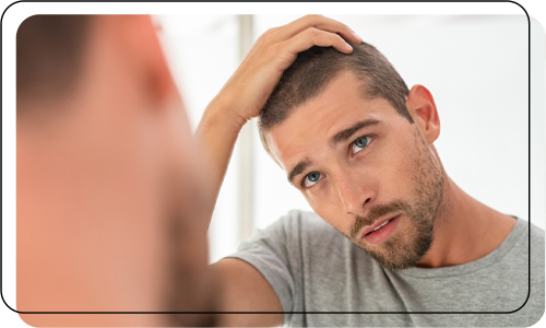 תבנית תמונה PRP2